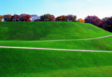 百慕大草坪廠家 百慕大草坪廠家