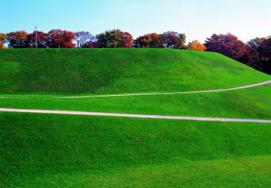 百慕大草坪廠家 百慕大草坪廠家