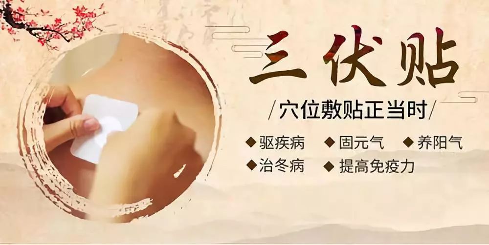 關(guān)于三伏貼，你了解多少呢？